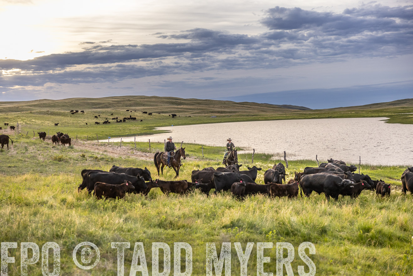 TMyers_PP_VintonRanch_Nebraska_June2024-517474