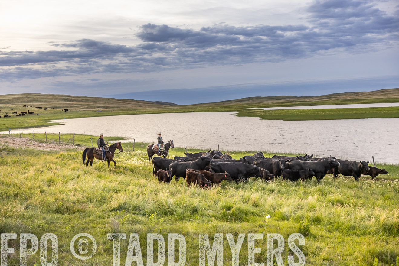 TMyers_PP_VintonRanch_Nebraska_June2024-517483