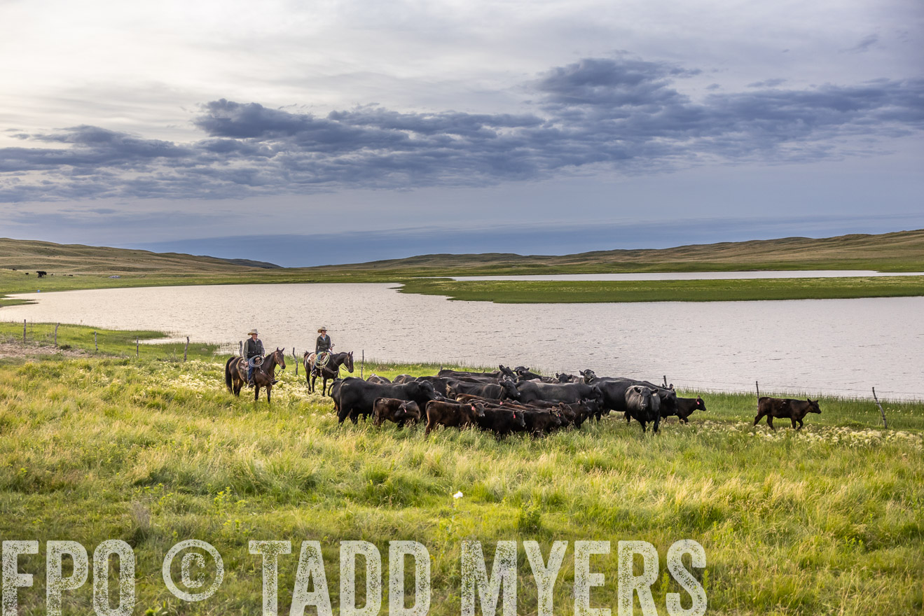 TMyers_PP_VintonRanch_Nebraska_June2024-517491