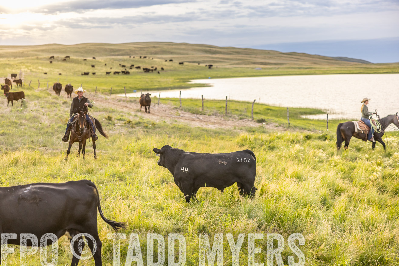 TMyers_PP_VintonRanch_Nebraska_June2024-517516