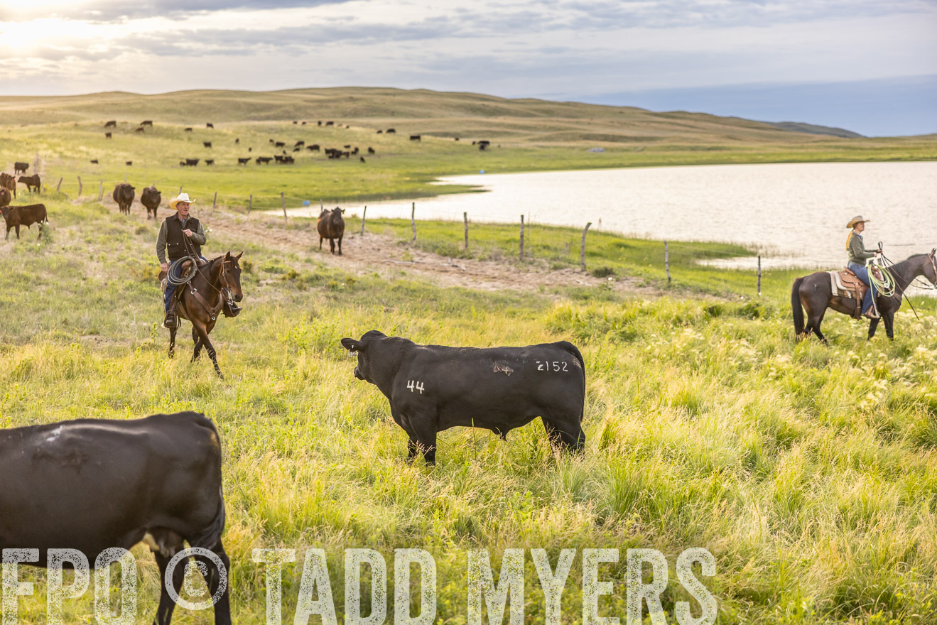 TMyers_PP_VintonRanch_Nebraska_June2024-517518
