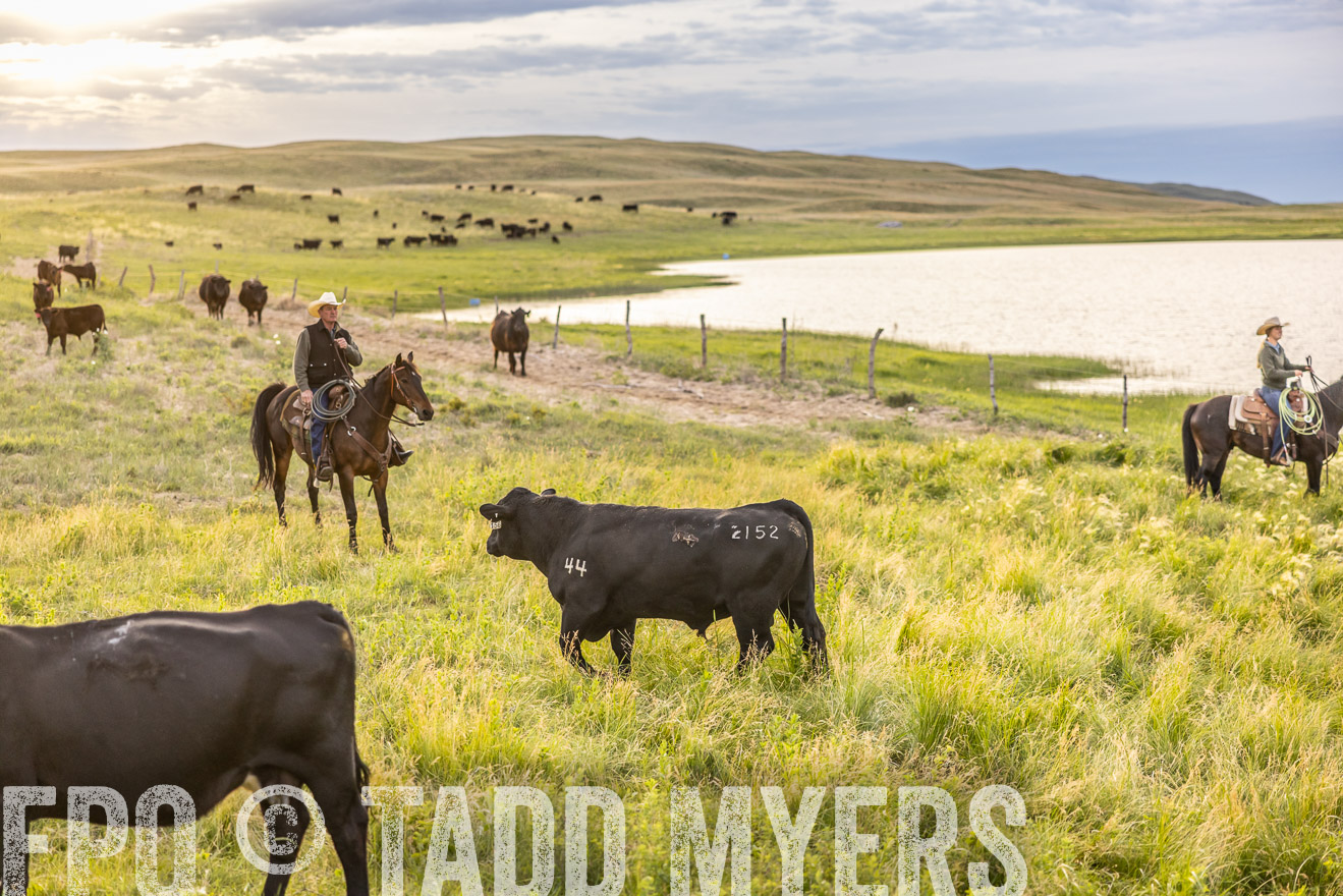 TMyers_PP_VintonRanch_Nebraska_June2024-517519