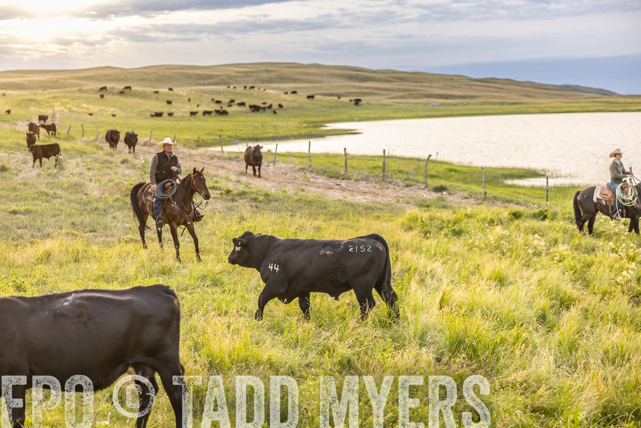 TMyers_PP_VintonRanch_Nebraska_June2024-517520