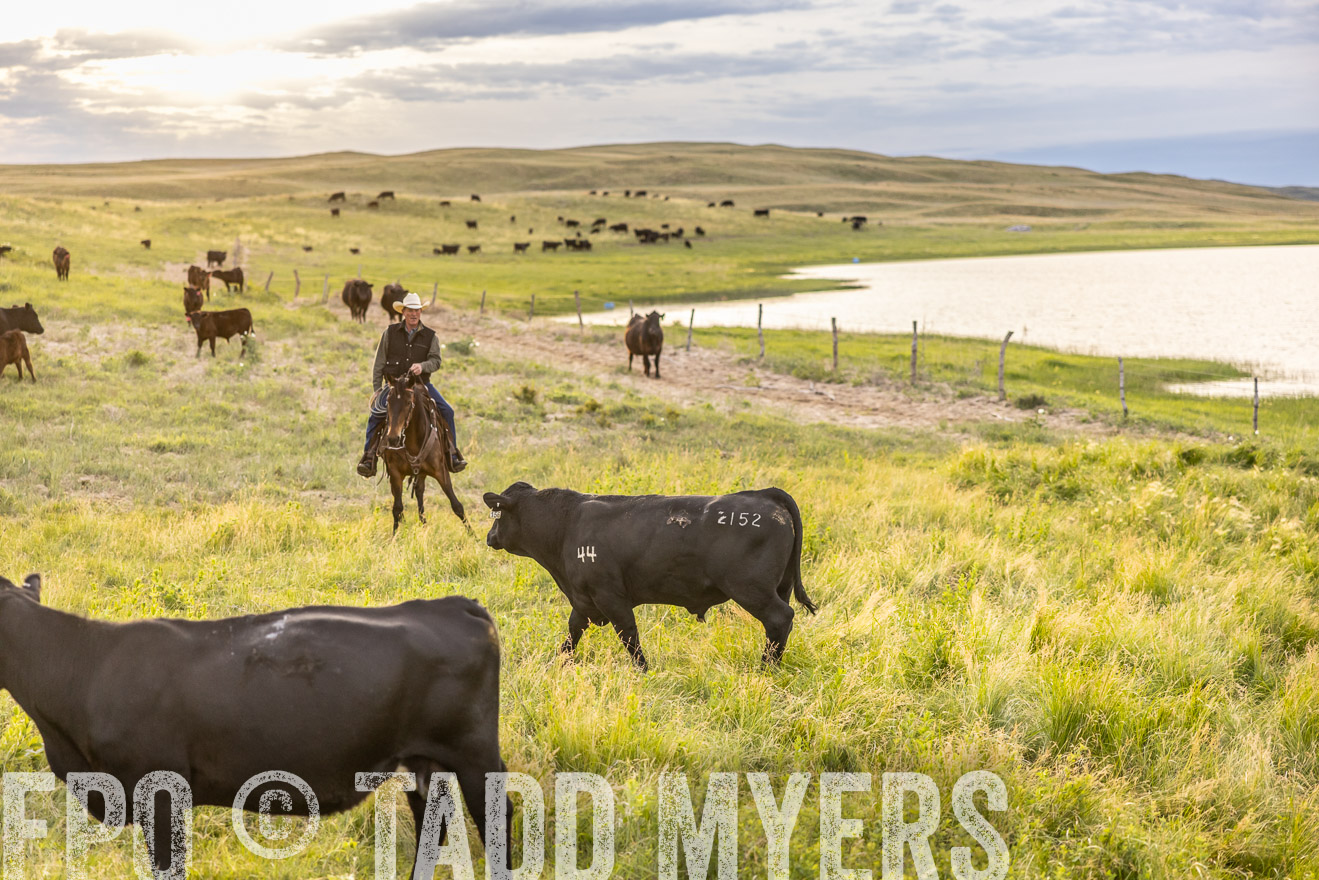 TMyers_PP_VintonRanch_Nebraska_June2024-517524