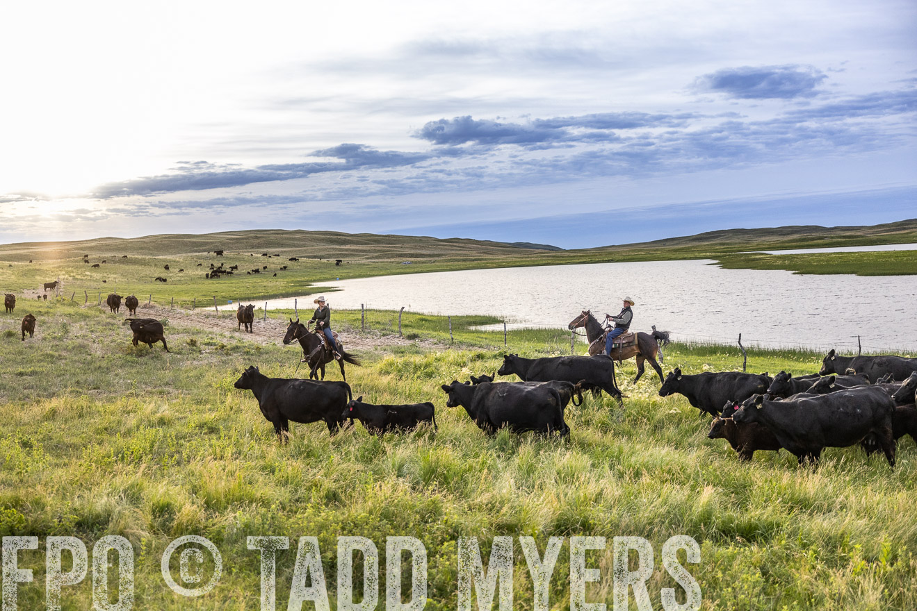 TMyers_PP_VintonRanch_Nebraska_June2024-517544
