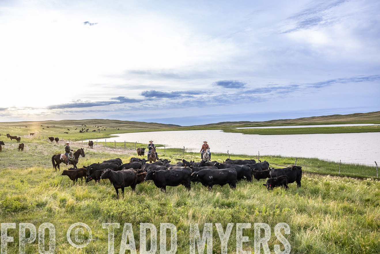 TMyers_PP_VintonRanch_Nebraska_June2024-517573