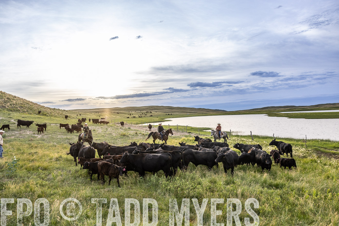 TMyers_PP_VintonRanch_Nebraska_June2024-517596
