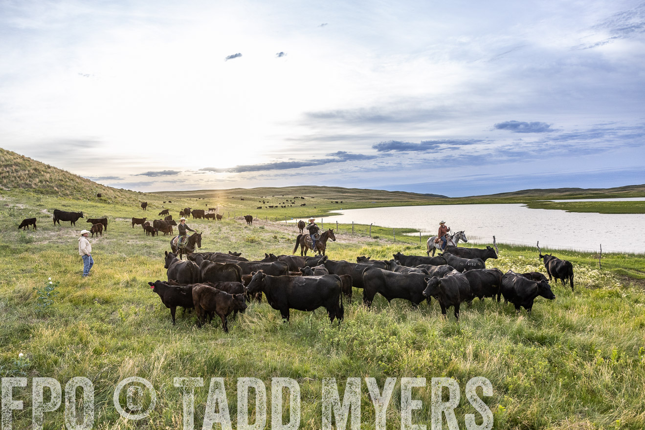 TMyers_PP_VintonRanch_Nebraska_June2024-517599