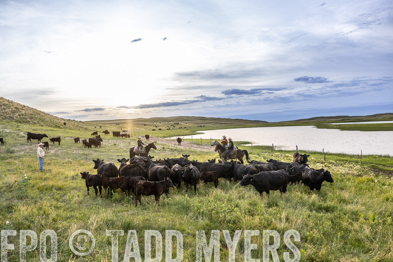 TMyers_PP_VintonRanch_Nebraska_June2024-517605