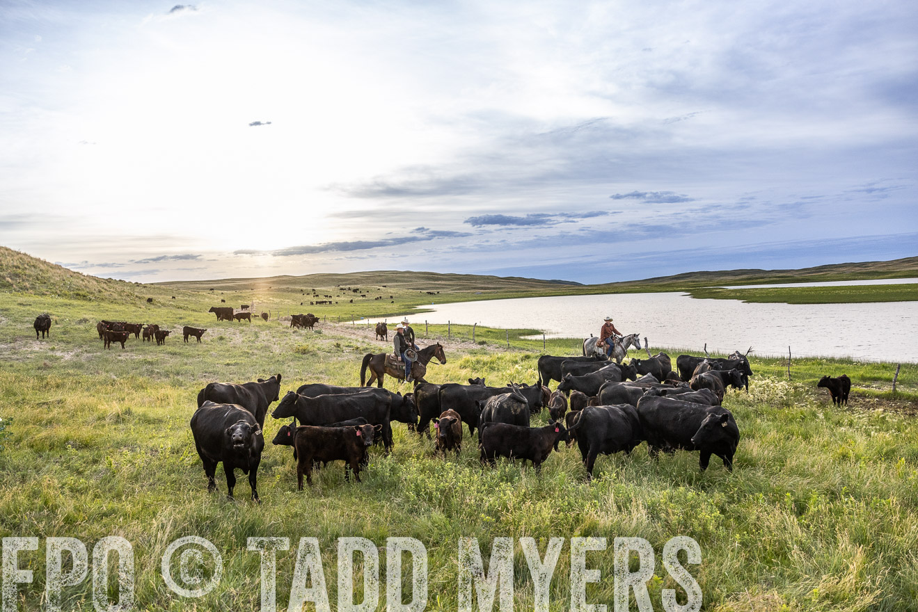 TMyers_PP_VintonRanch_Nebraska_June2024-517624