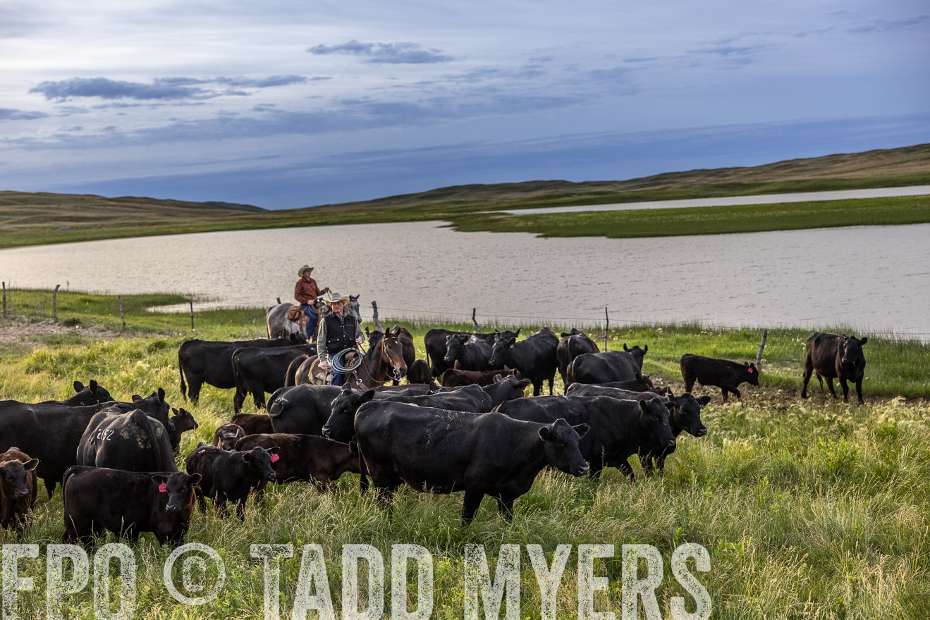 TMyers_PP_VintonRanch_Nebraska_June2024-517635