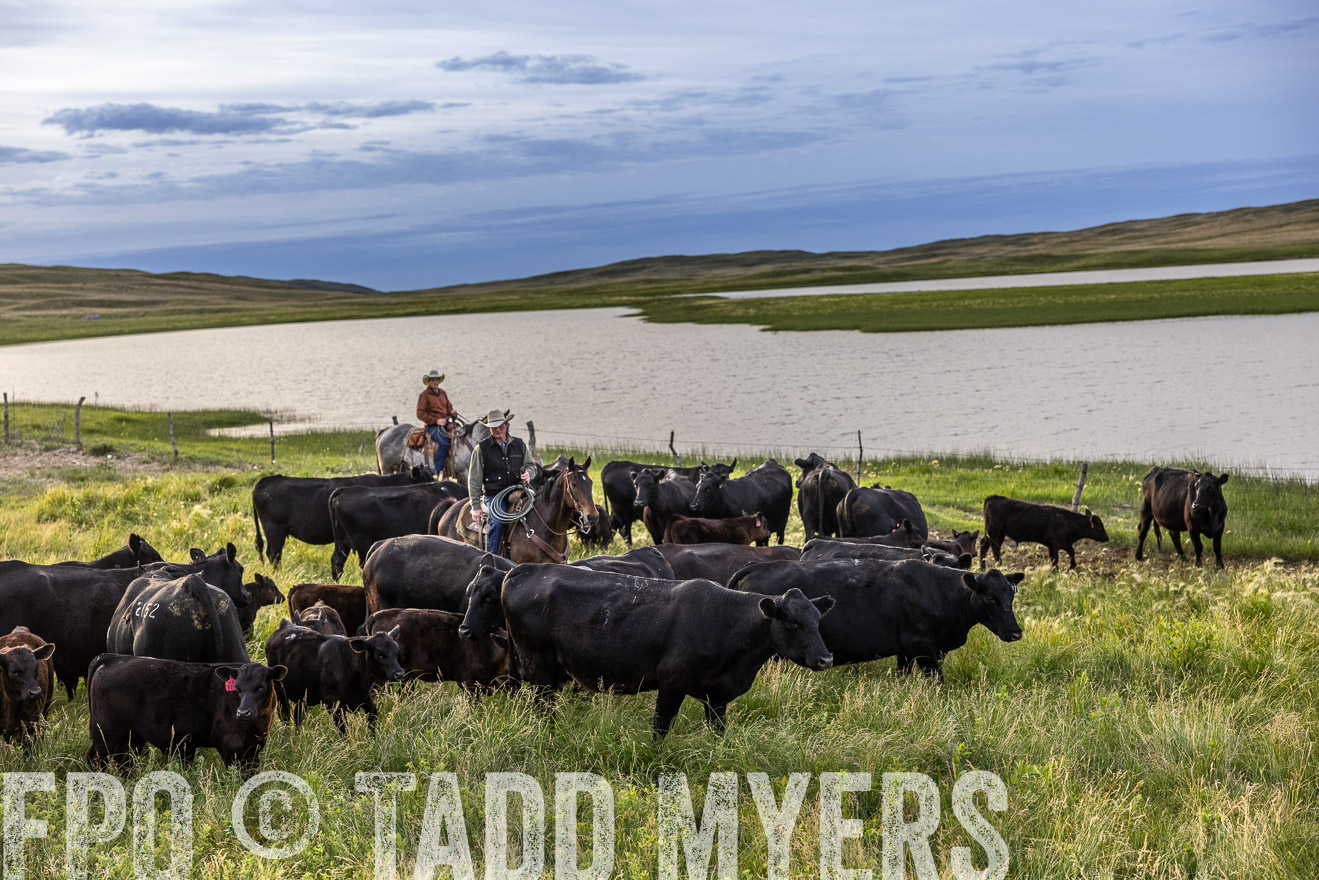 TMyers_PP_VintonRanch_Nebraska_June2024-517637