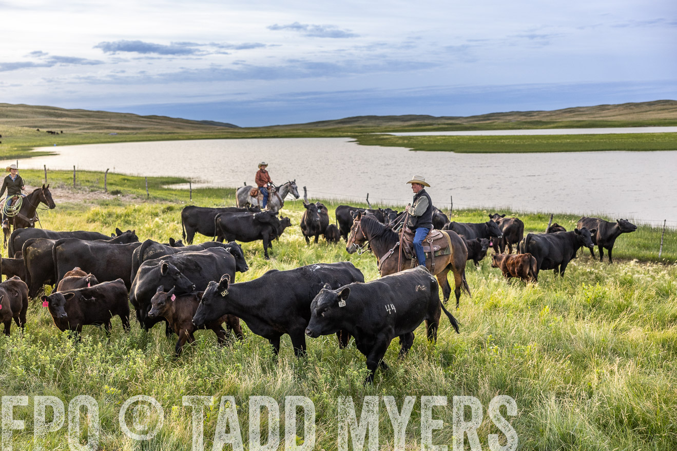 TMyers_PP_VintonRanch_Nebraska_June2024-517641