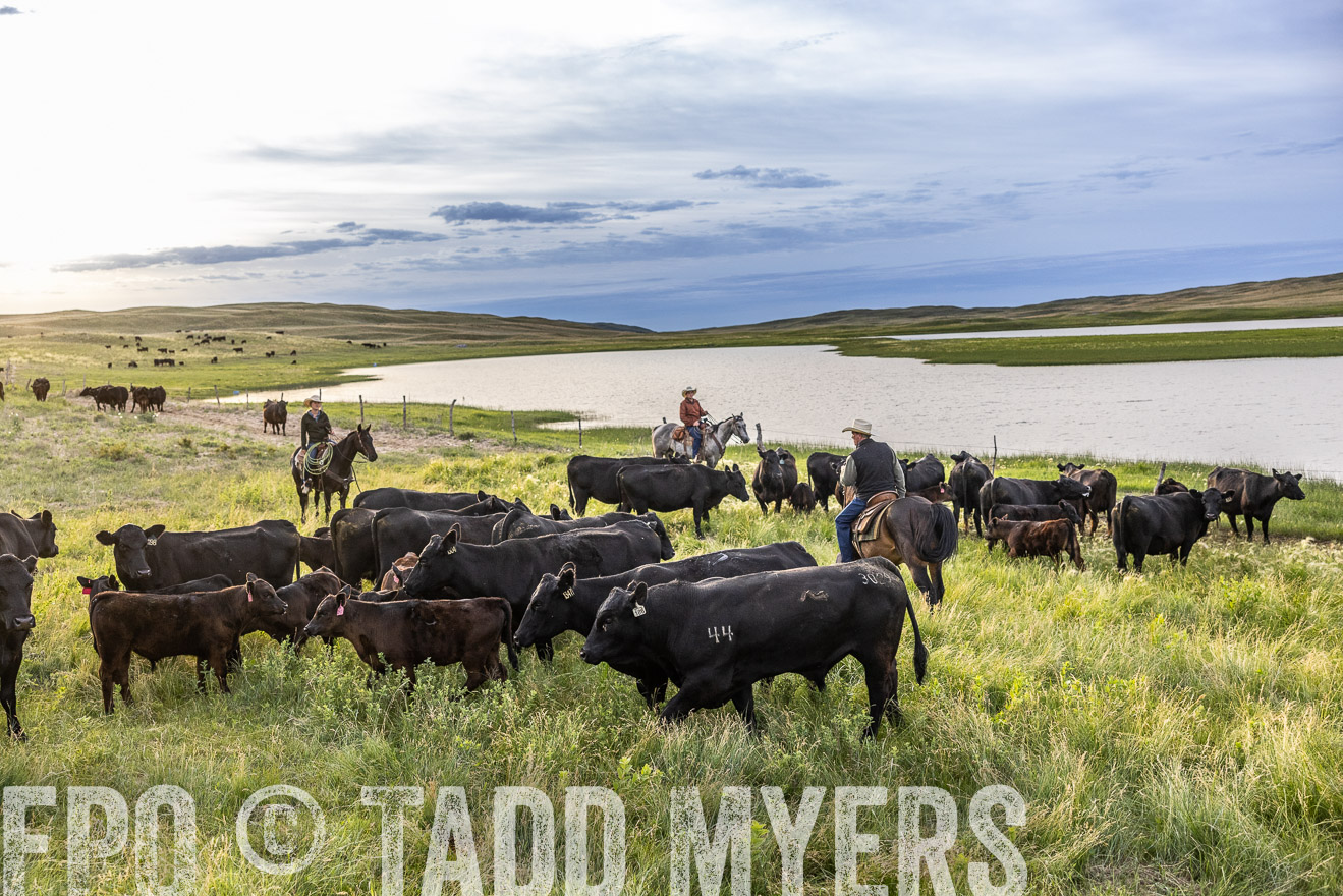 TMyers_PP_VintonRanch_Nebraska_June2024-517646