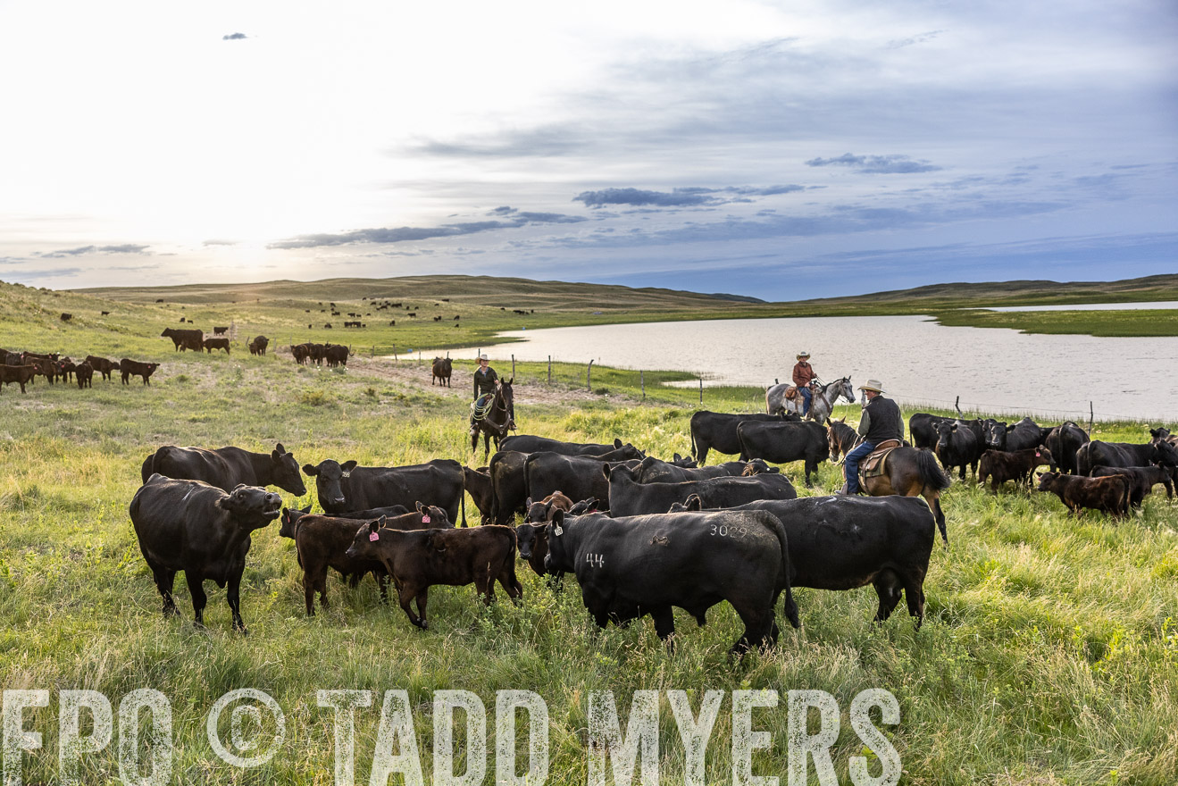 TMyers_PP_VintonRanch_Nebraska_June2024-517652