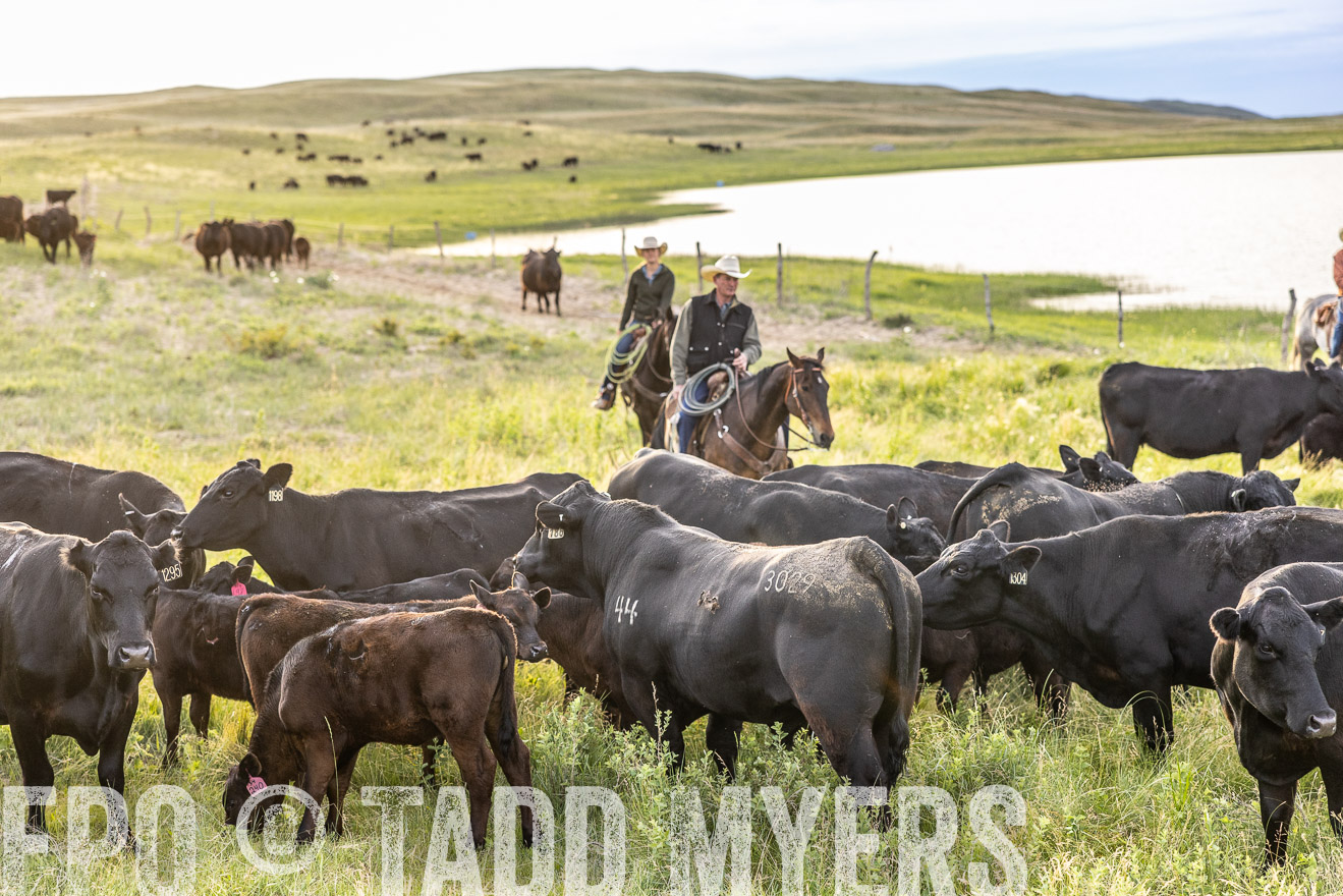 TMyers_PP_VintonRanch_Nebraska_June2024-517663
