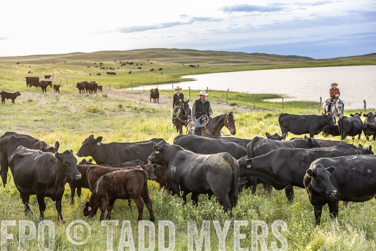 TMyers_PP_VintonRanch_Nebraska_June2024-517664