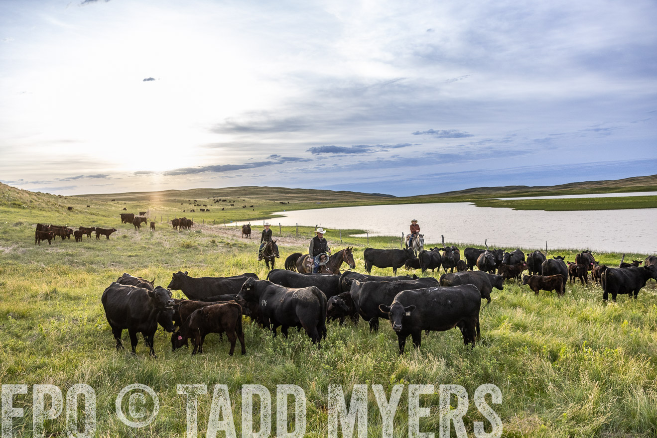 TMyers_PP_VintonRanch_Nebraska_June2024-517668