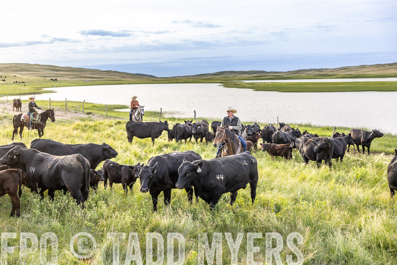 TMyers_PP_VintonRanch_Nebraska_June2024-517673