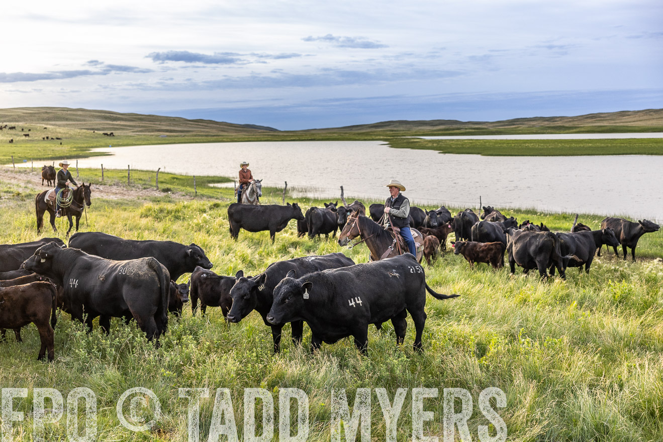 TMyers_PP_VintonRanch_Nebraska_June2024-517676