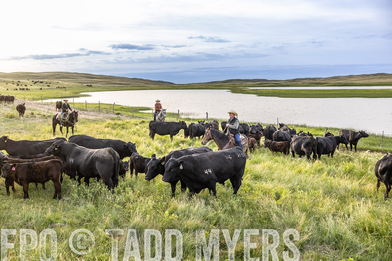 TMyers_PP_VintonRanch_Nebraska_June2024-517677