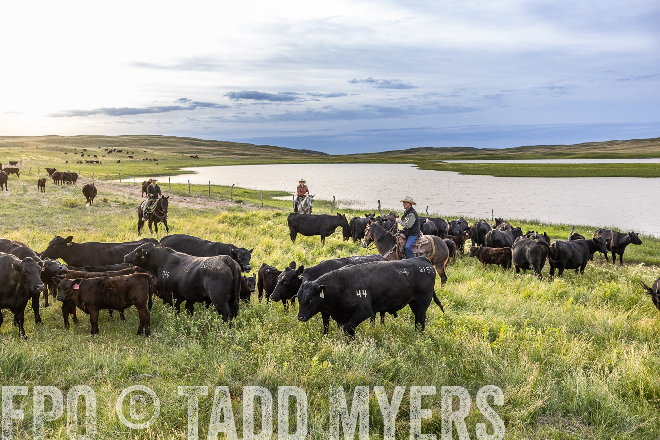 TMyers_PP_VintonRanch_Nebraska_June2024-517679