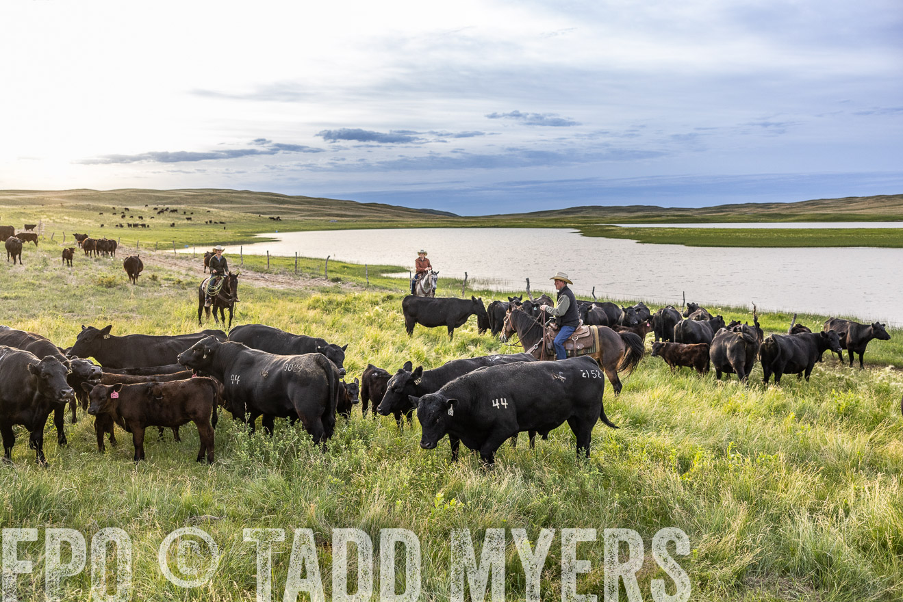 TMyers_PP_VintonRanch_Nebraska_June2024-517680