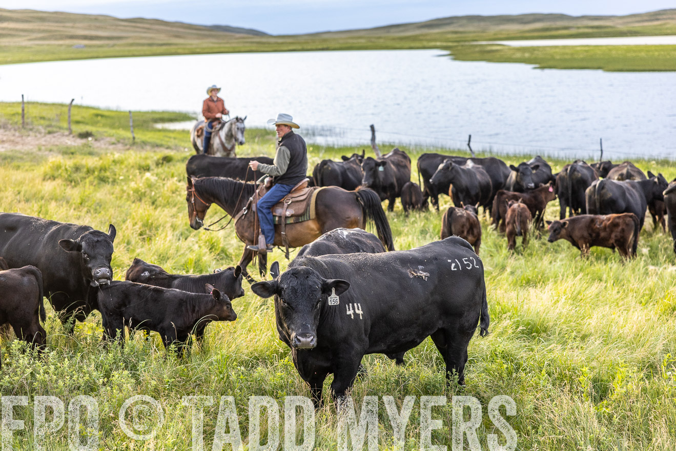 TMyers_PP_VintonRanch_Nebraska_June2024-517684