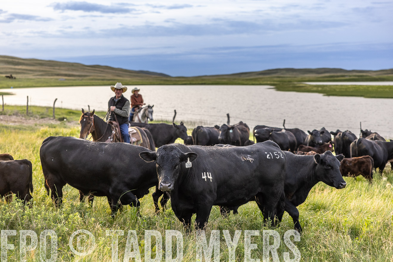 TMyers_PP_VintonRanch_Nebraska_June2024-517685