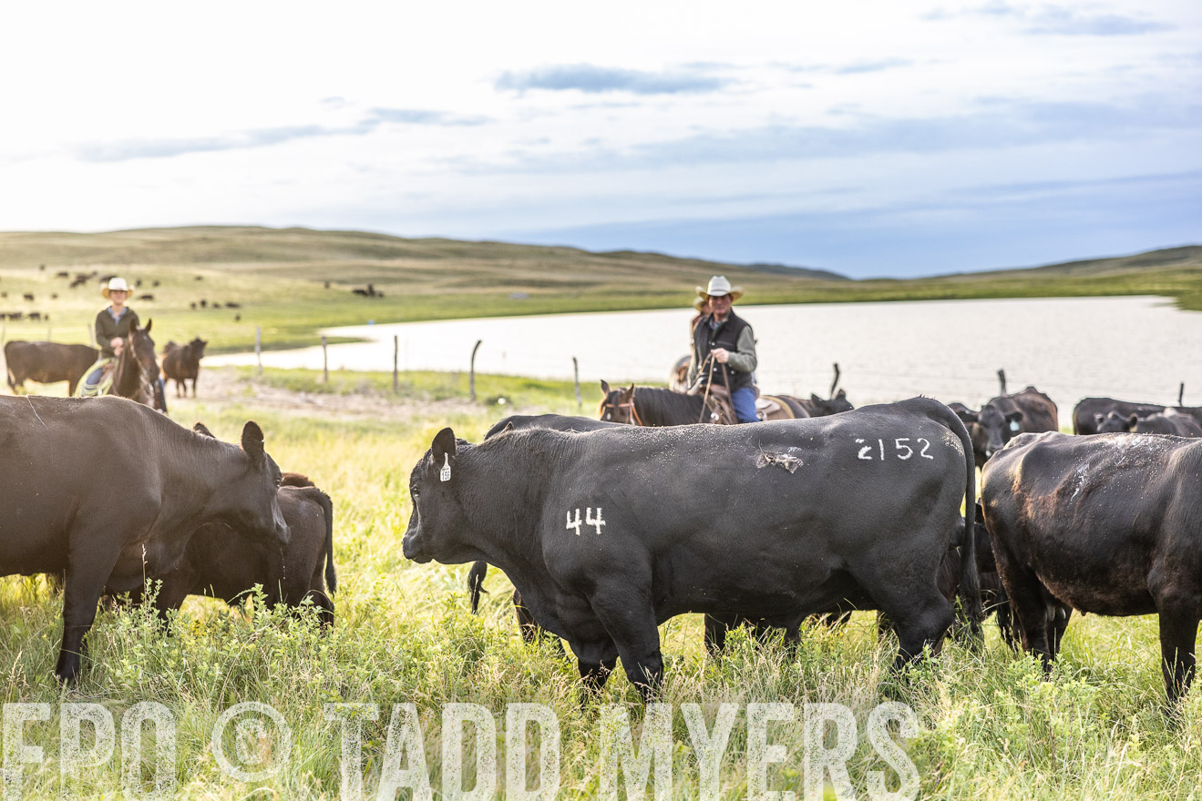 TMyers_PP_VintonRanch_Nebraska_June2024-517689
