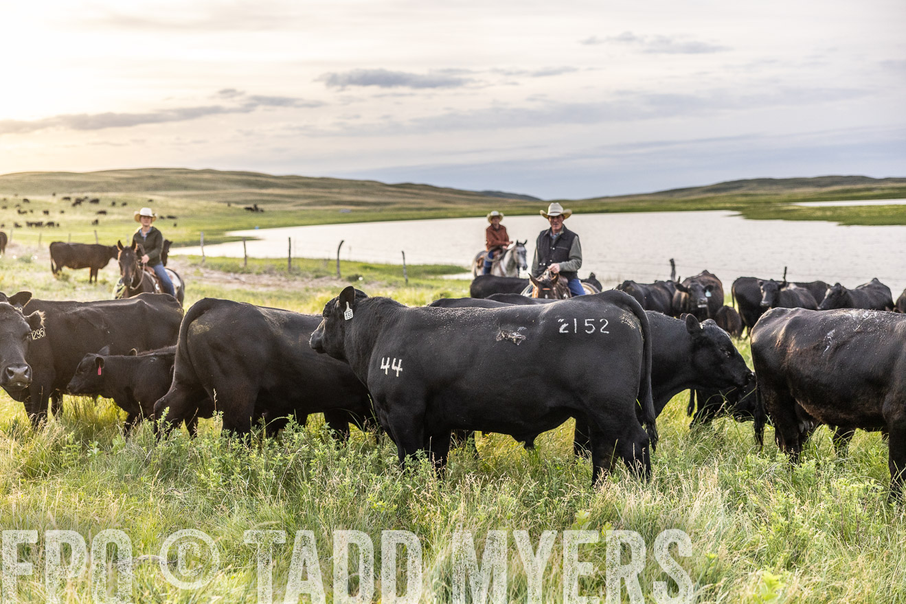 TMyers_PP_VintonRanch_Nebraska_June2024-517695