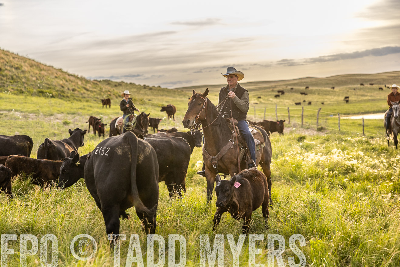 TMyers_PP_VintonRanch_Nebraska_June2024-517789