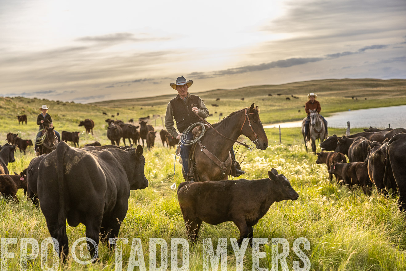 TMyers_PP_VintonRanch_Nebraska_June2024-517793