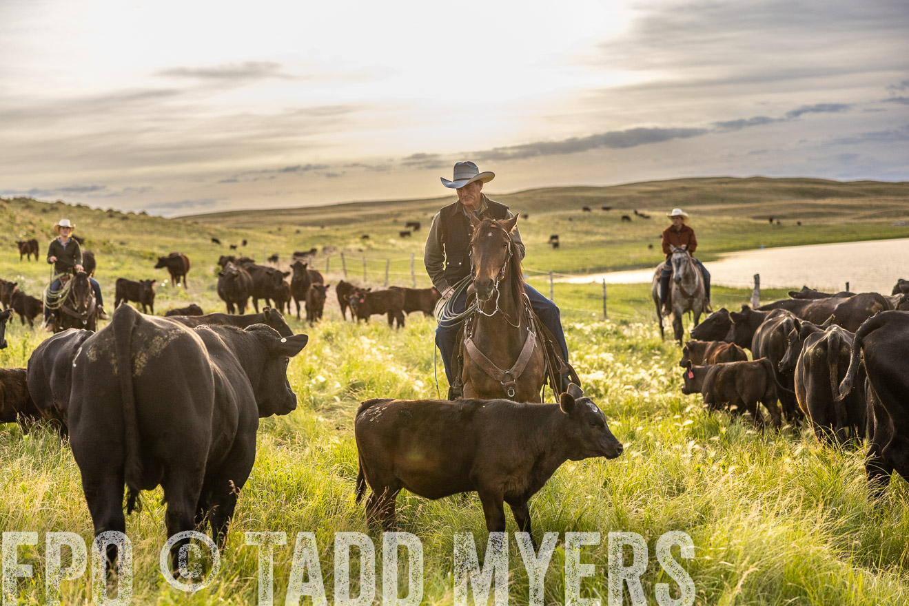 TMyers_PP_VintonRanch_Nebraska_June2024-517794