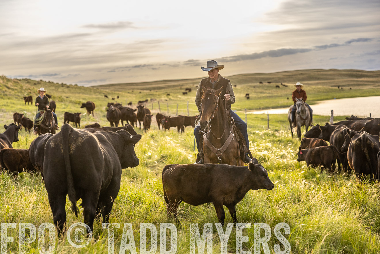 TMyers_PP_VintonRanch_Nebraska_June2024-517795