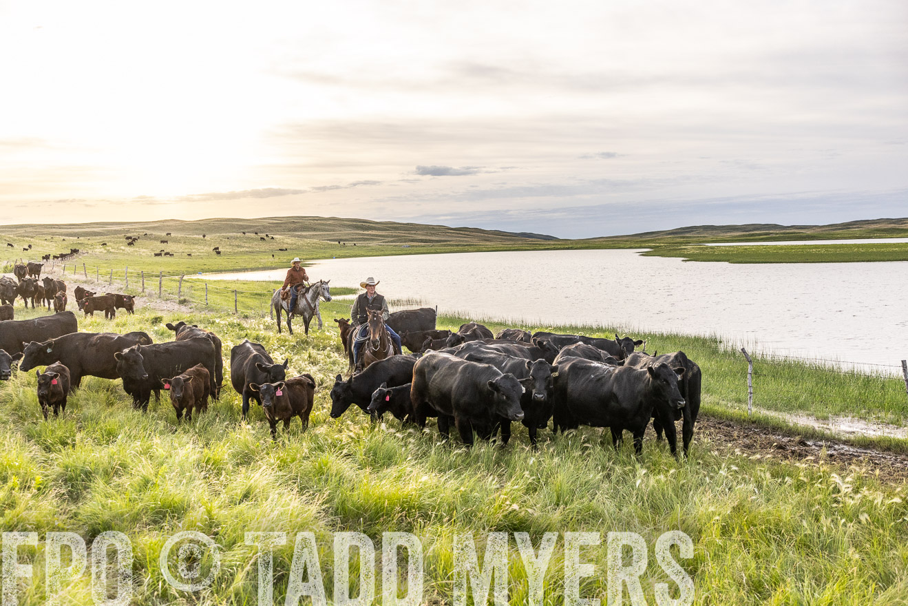 TMyers_PP_VintonRanch_Nebraska_June2024-517800