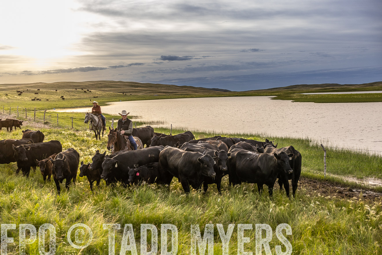 TMyers_PP_VintonRanch_Nebraska_June2024-517804