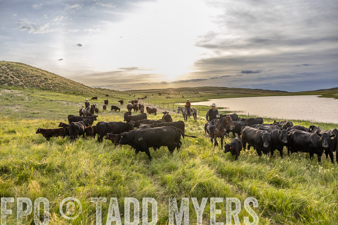 TMyers_PP_VintonRanch_Nebraska_June2024-517812