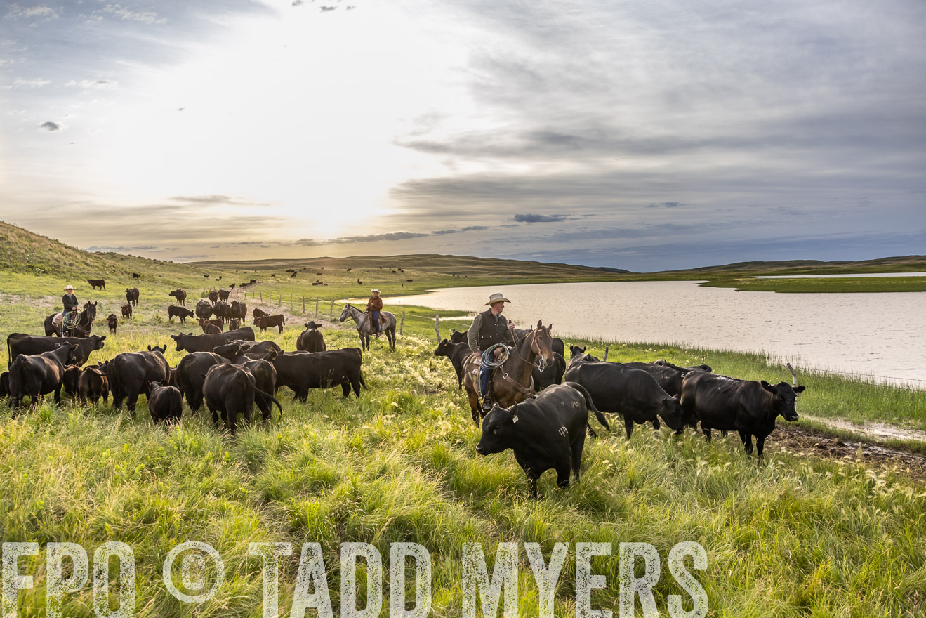 TMyers_PP_VintonRanch_Nebraska_June2024-517818