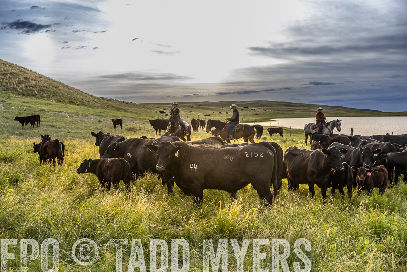 TMyers_PP_VintonRanch_Nebraska_June2024-517869