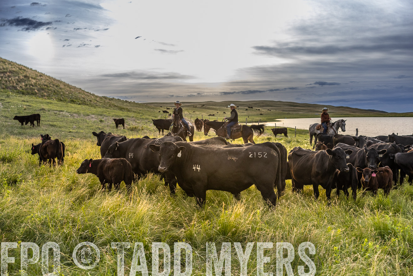 TMyers_PP_VintonRanch_Nebraska_June2024-517870