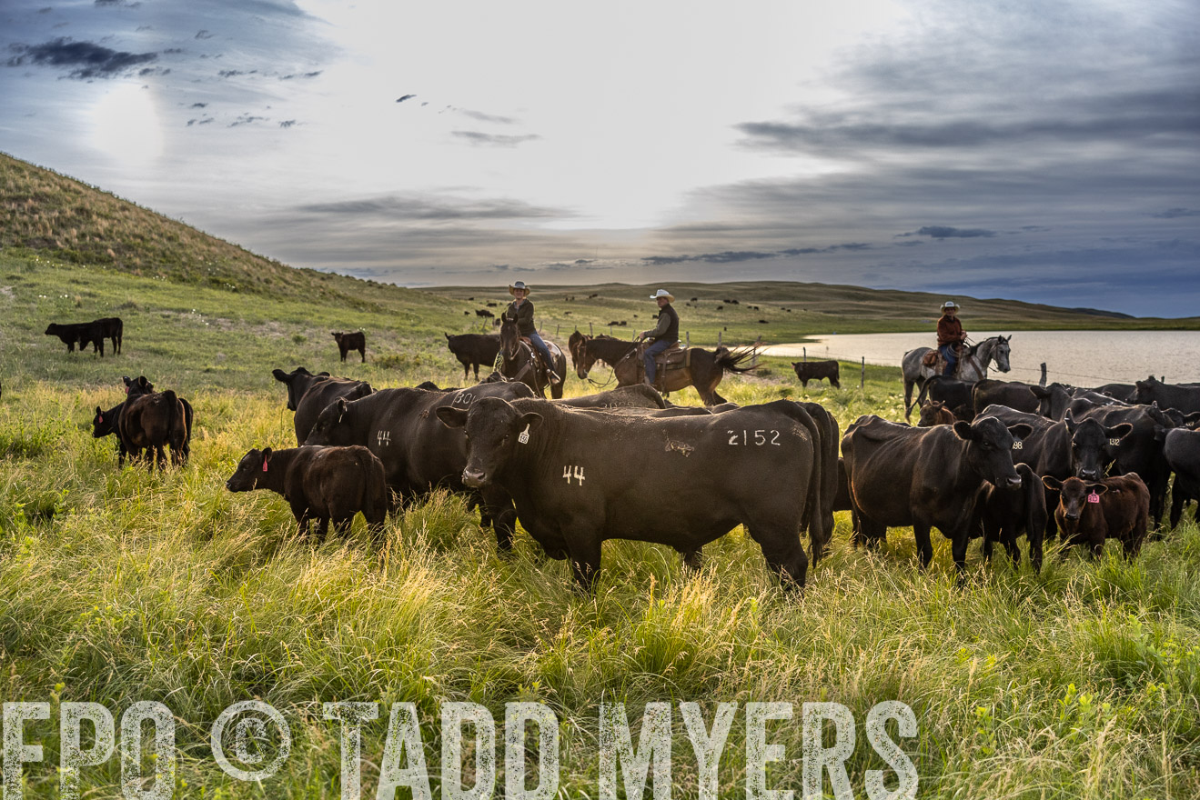 TMyers_PP_VintonRanch_Nebraska_June2024-517871