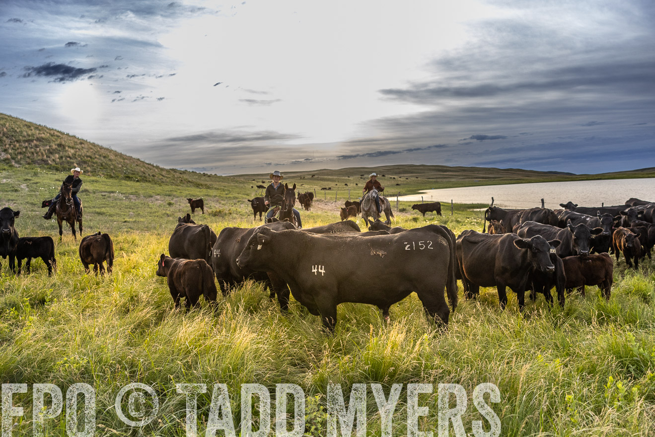 TMyers_PP_VintonRanch_Nebraska_June2024-517890