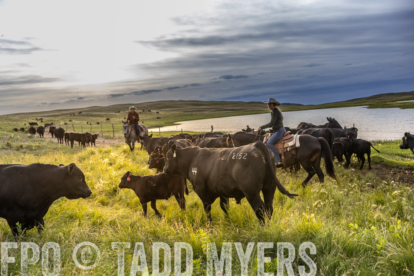 TMyers_PP_VintonRanch_Nebraska_June2024-517906