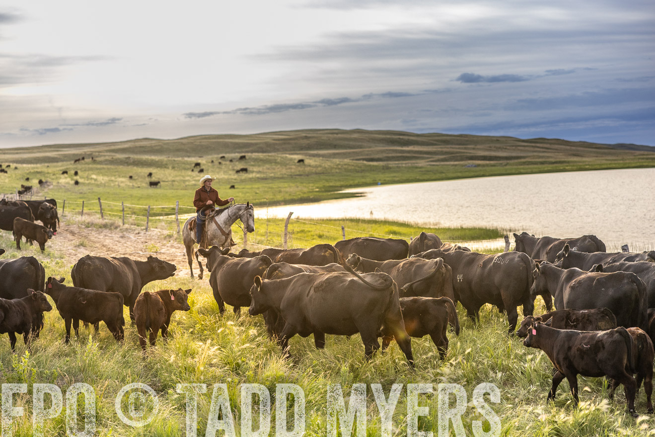 TMyers_PP_VintonRanch_Nebraska_June2024-517995