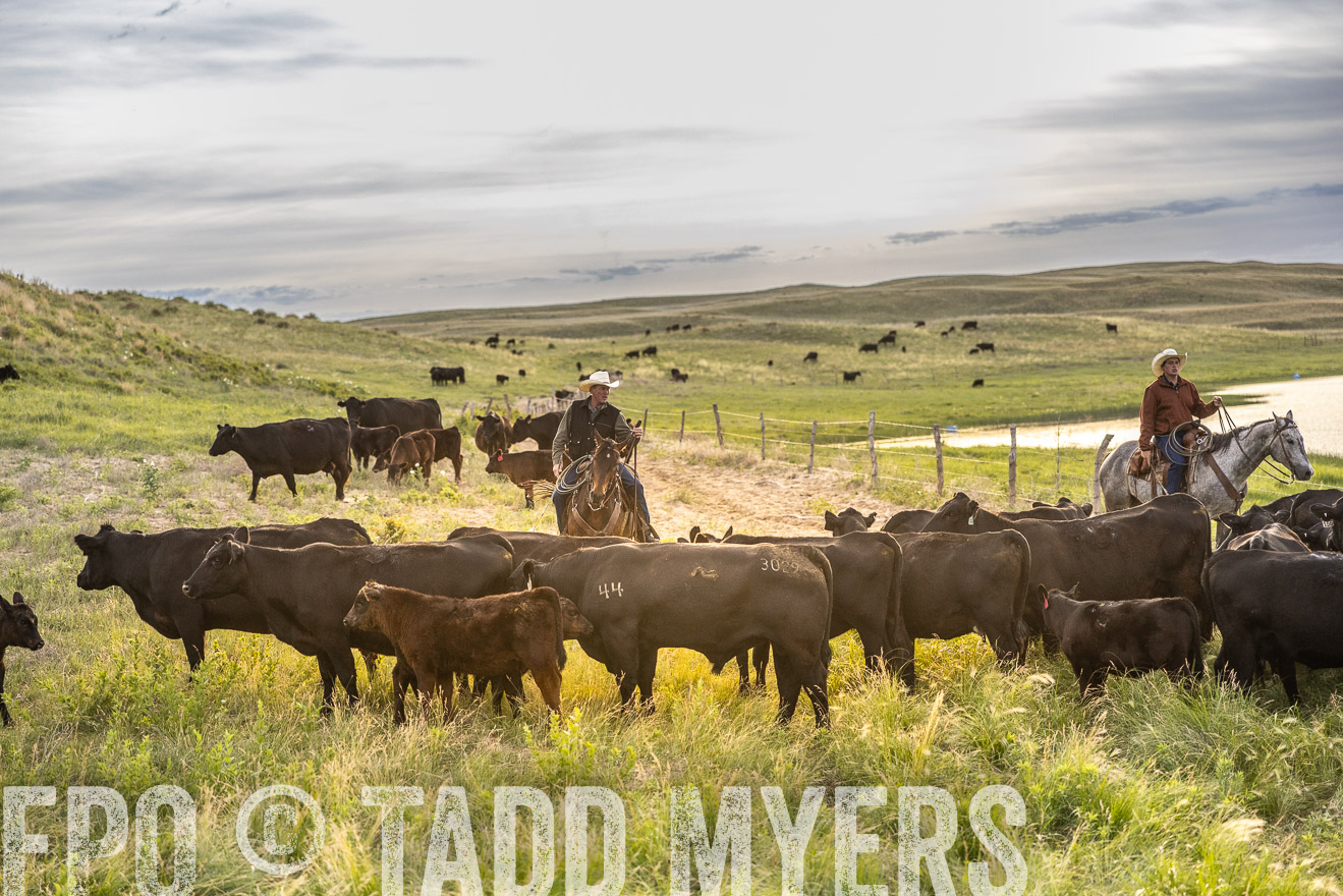 TMyers_PP_VintonRanch_Nebraska_June2024-518007