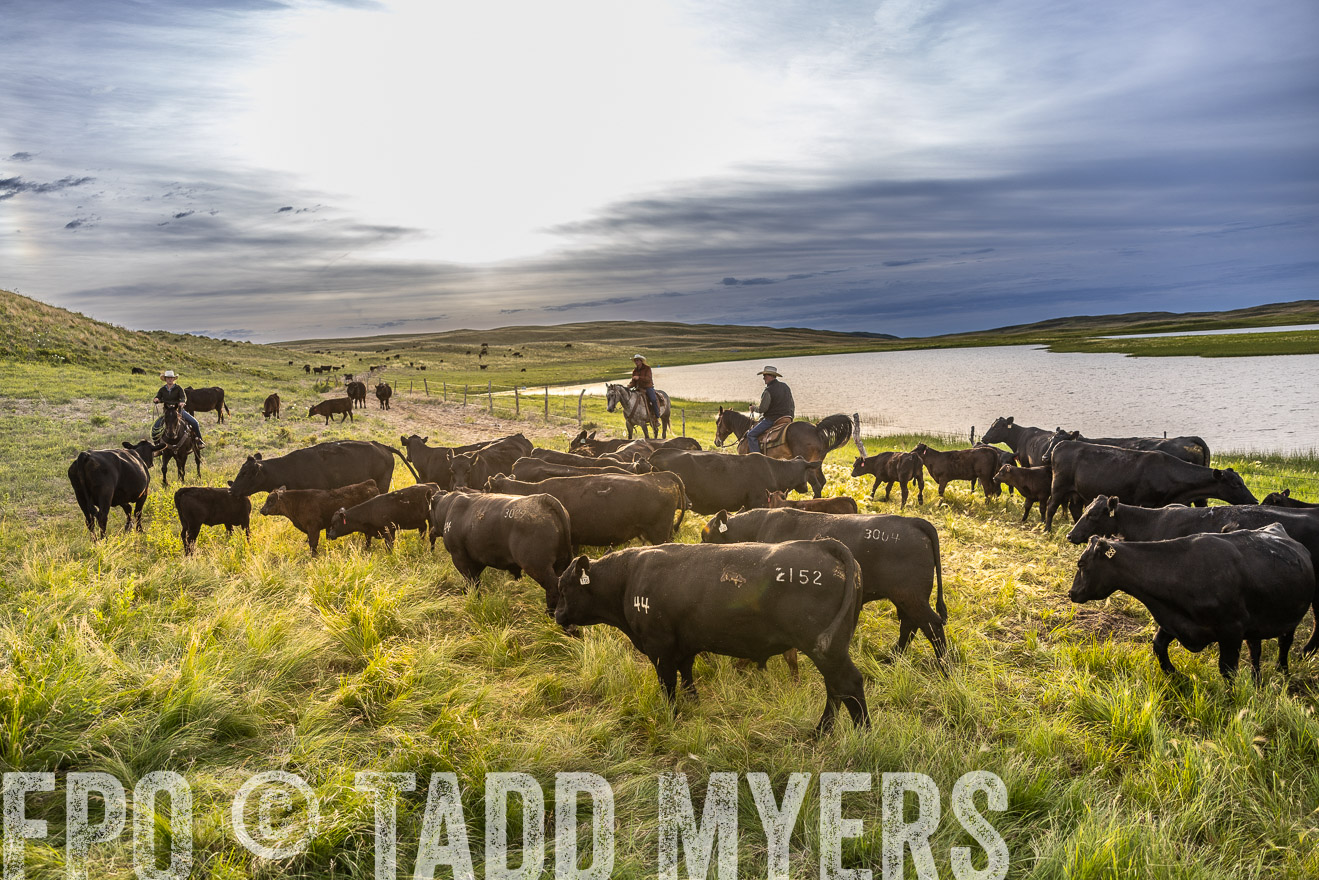 TMyers_PP_VintonRanch_Nebraska_June2024-518051