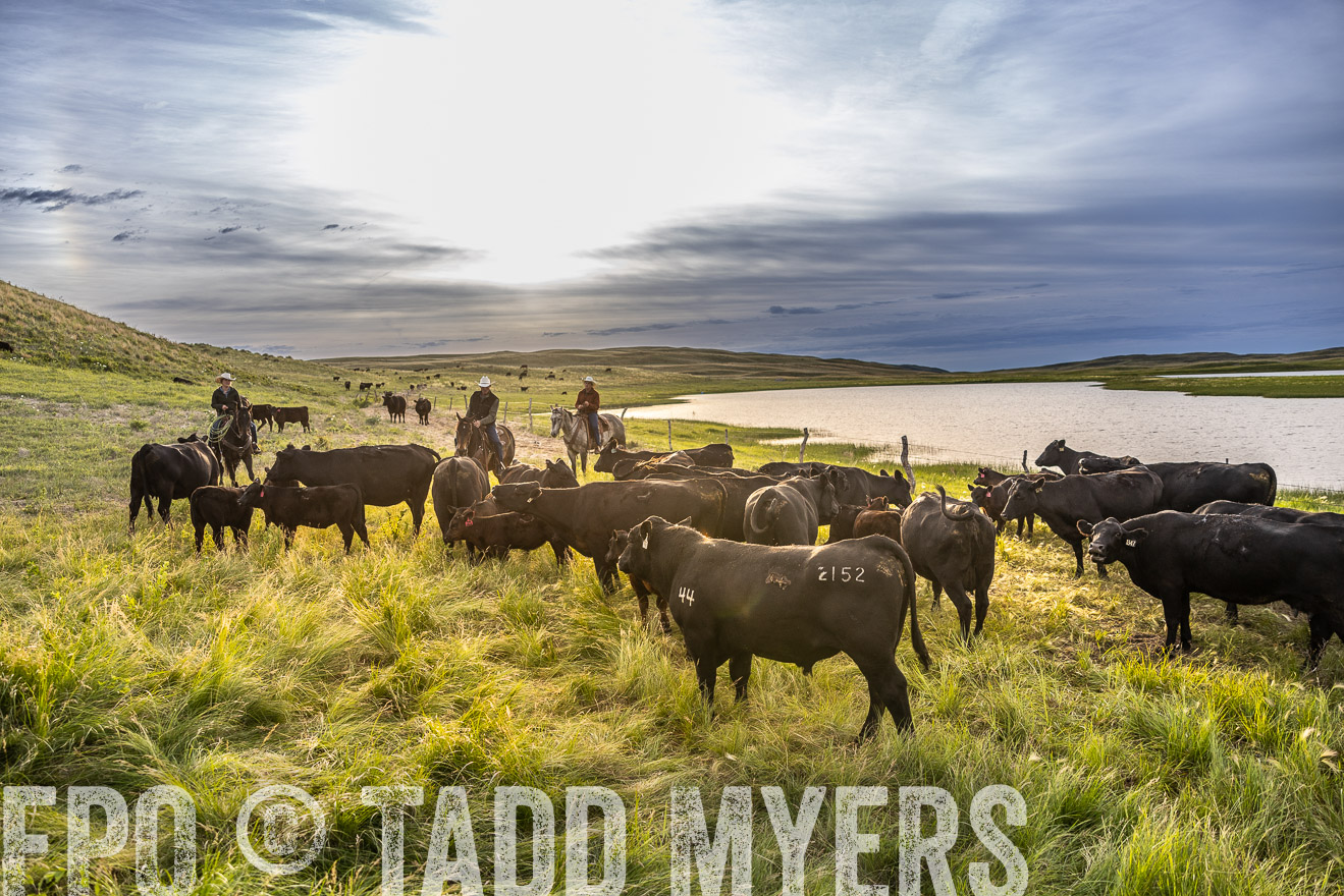 TMyers_PP_VintonRanch_Nebraska_June2024-518058