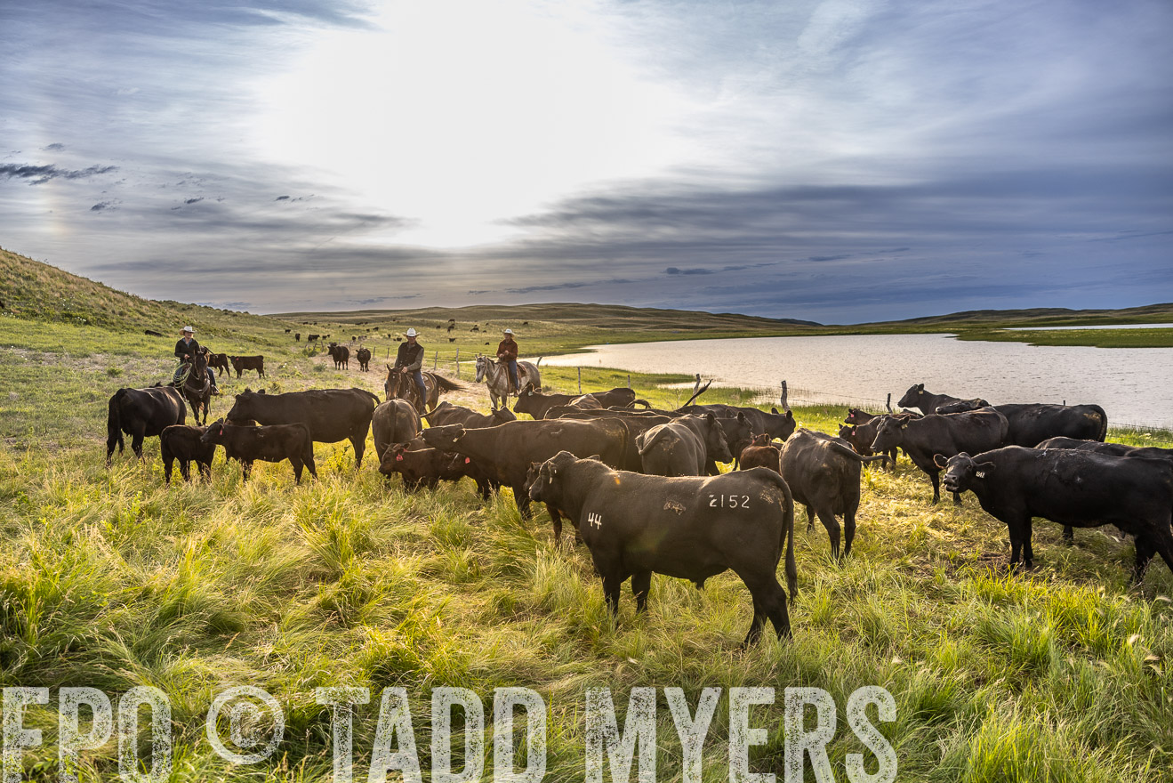 TMyers_PP_VintonRanch_Nebraska_June2024-518060
