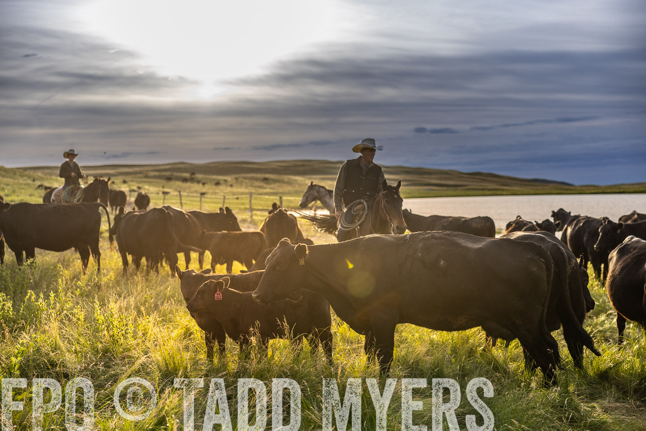 TMyers_PP_VintonRanch_Nebraska_June2024-518120